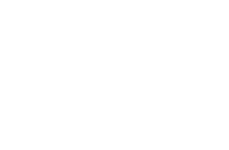 Shine the Light Films